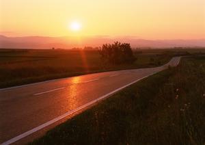 北名古屋で信頼できる中古車を見つけるための完全ガイド：選び方から買取サービスまで徹底解説