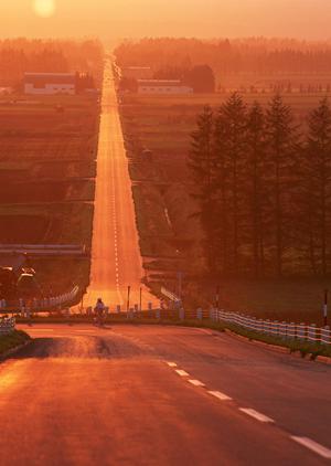 中古バイクを探している人におすすめ