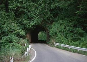 【当日車検】をスムーズに完了させるための完全ガイド｜手続きの流れと準備ポイント