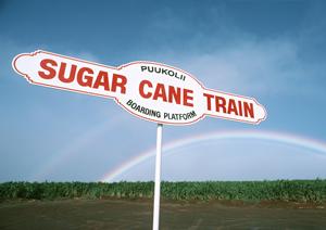 那覇で格安レンタカーを利用したいときには